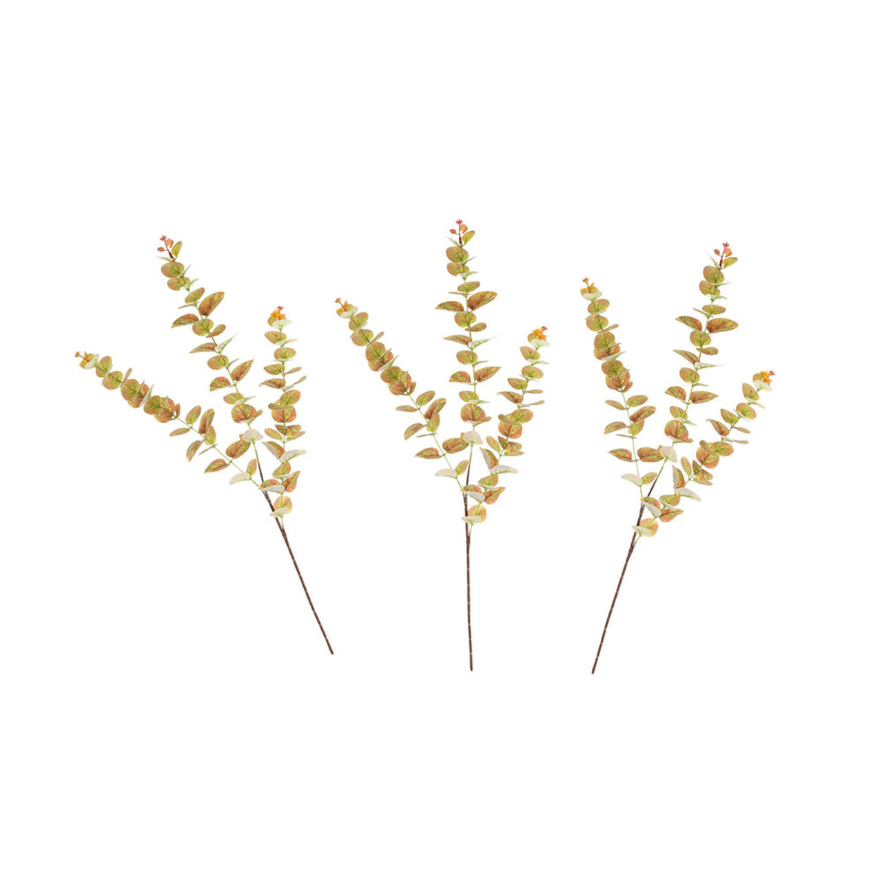 Autumn Eucalyptus Spray