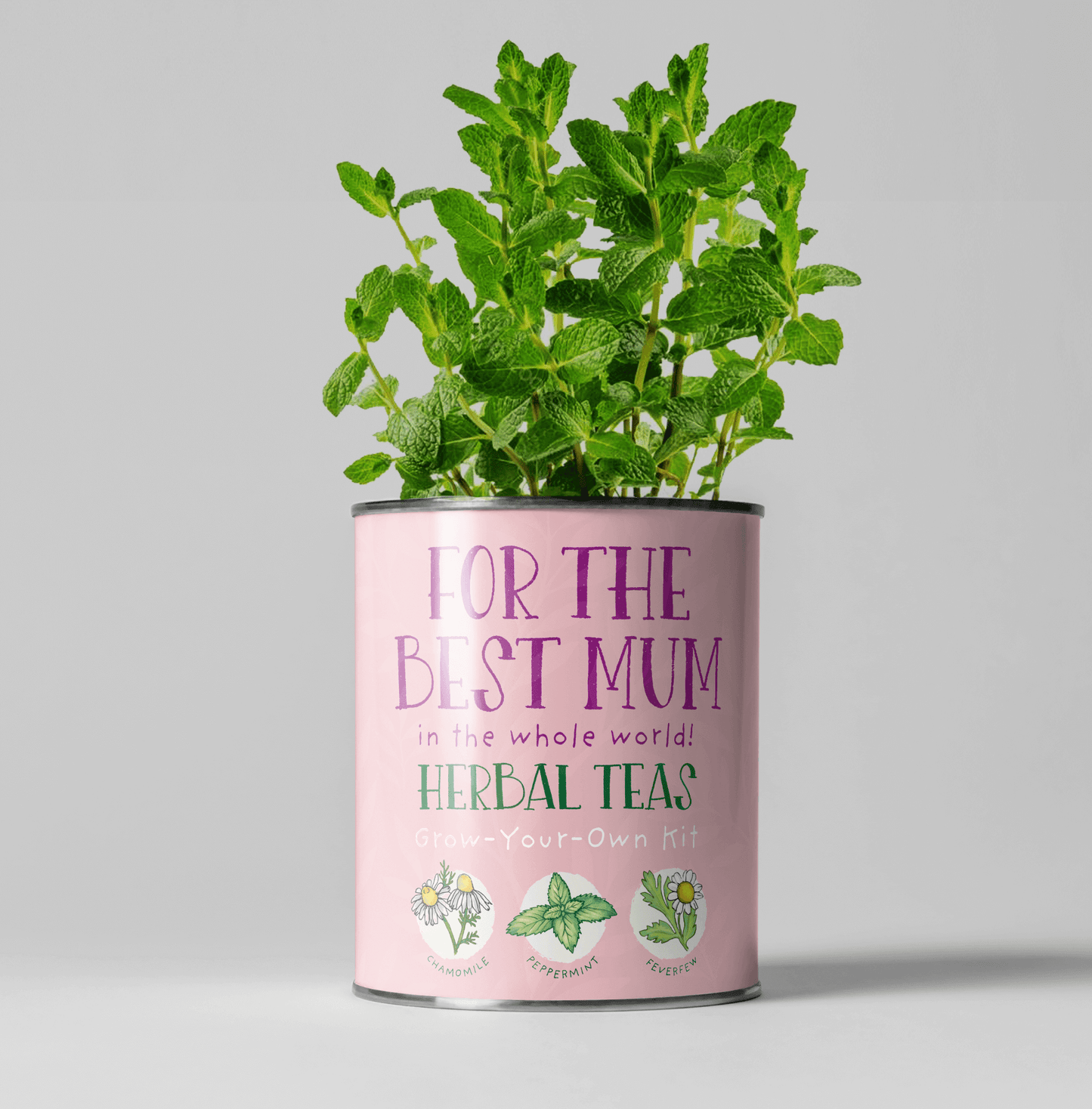 For the Best Mum. Herbal Tea Grow Your Own Kit