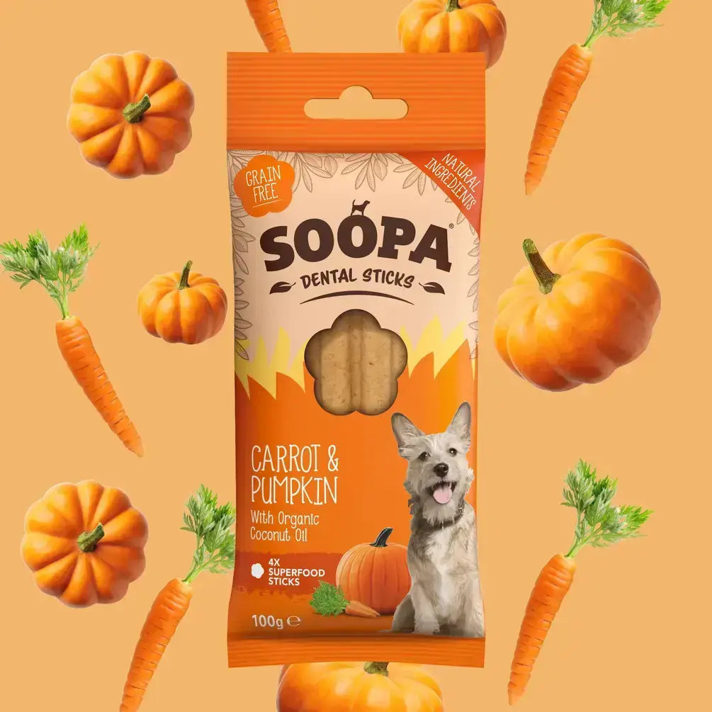 Carrot & Pumpkin Dog Dental Sticks