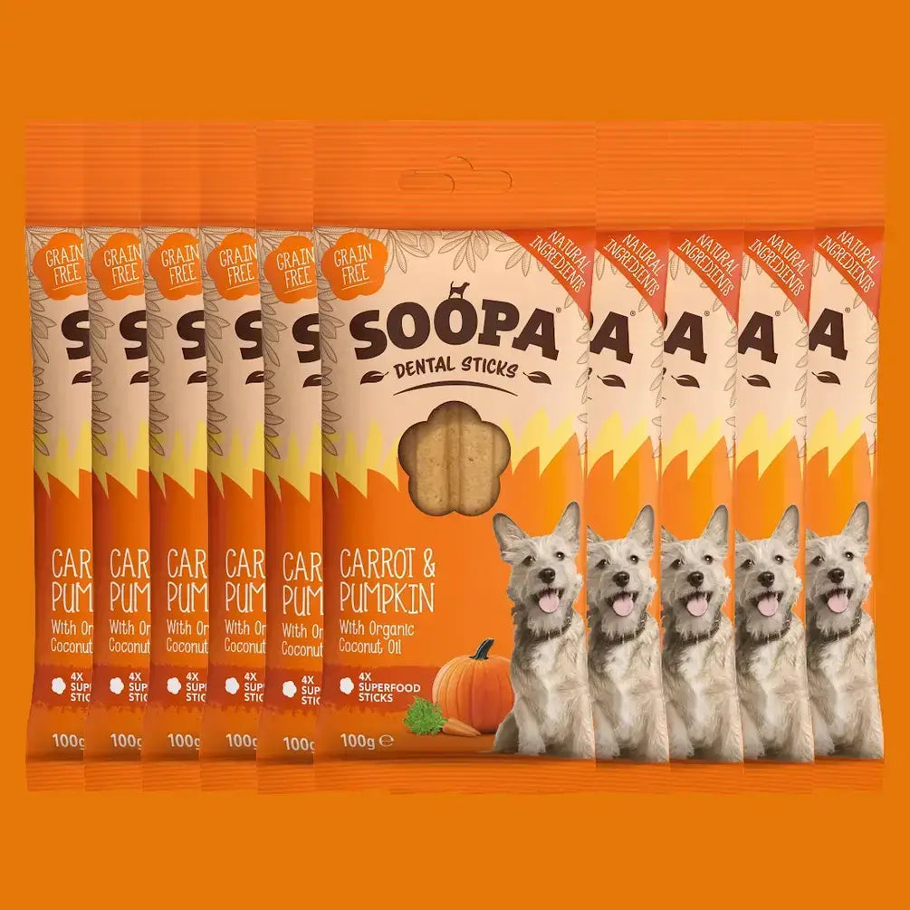Carrot & Pumpkin Dog Dental Sticks