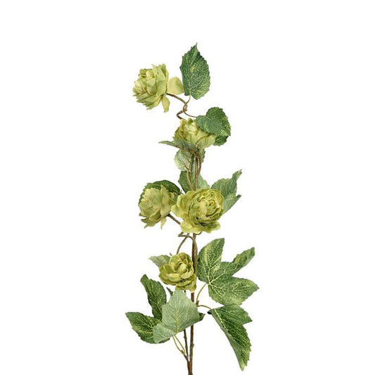 Artificial hop vine with green leaves and flowers on a white background