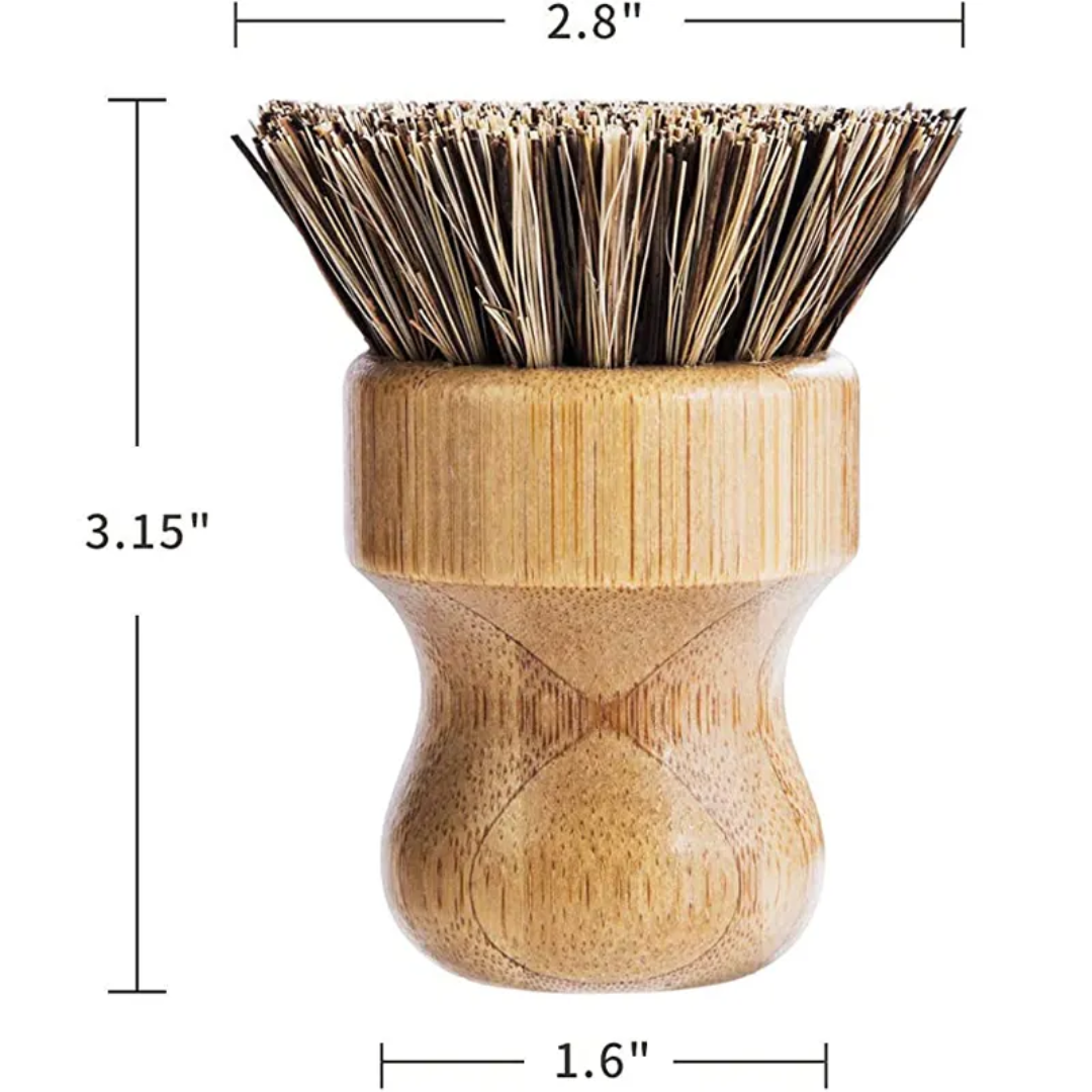 Bamboo brush with bristle head and measurements on a white background