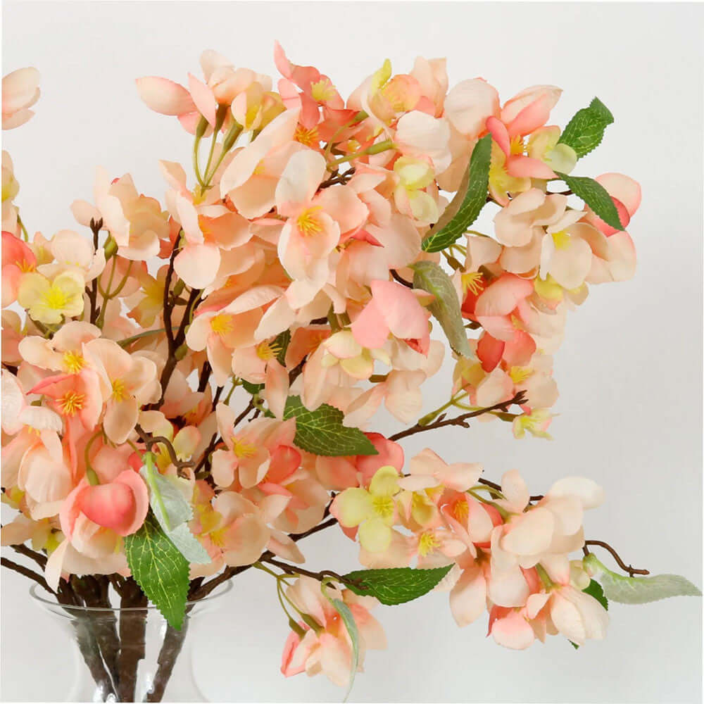Spring Orchard Blossom Branch coral close up