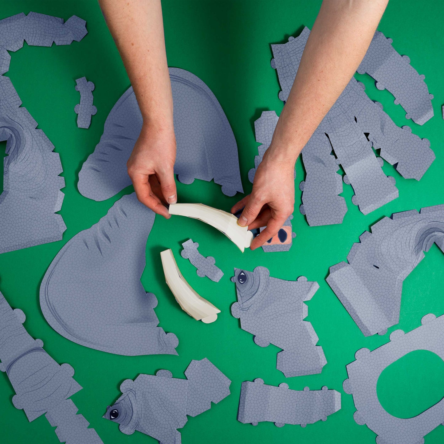Hands holding a piece of celery over a green surface with gray foam dinosaur toys.