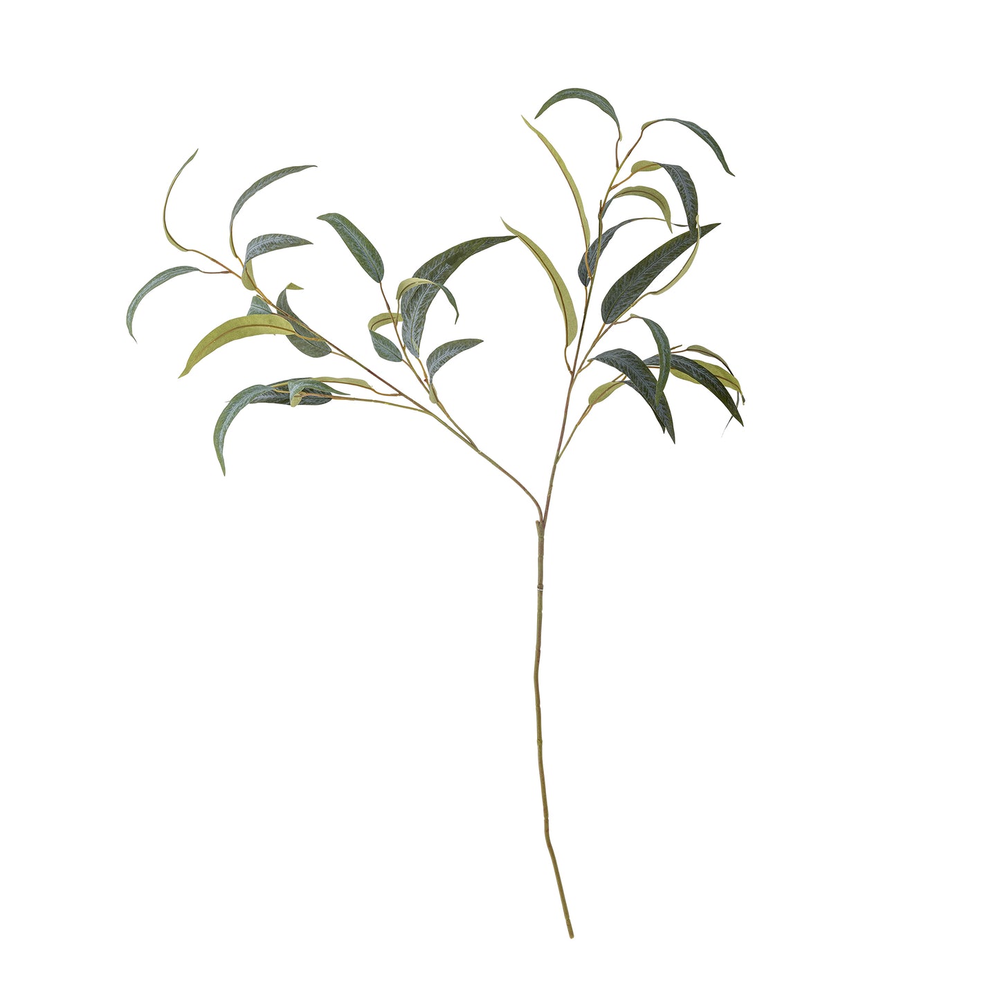 Artificial eucalyptus branch on a white background
