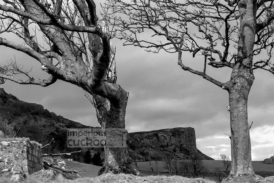 Fairhead from Murlough Bay