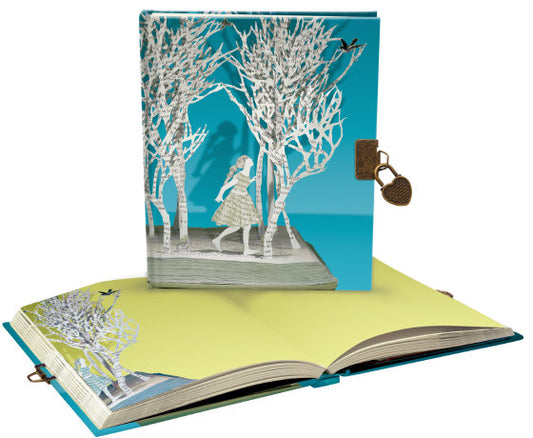 Decorative book with a lock on a white background
