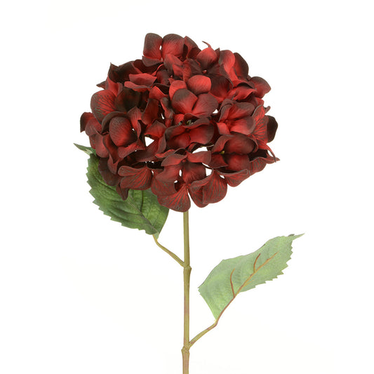 Hydrangea - Deep Red