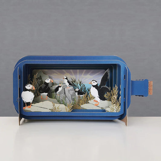Pop up card, message in a bottle with puffins sitting on rocks