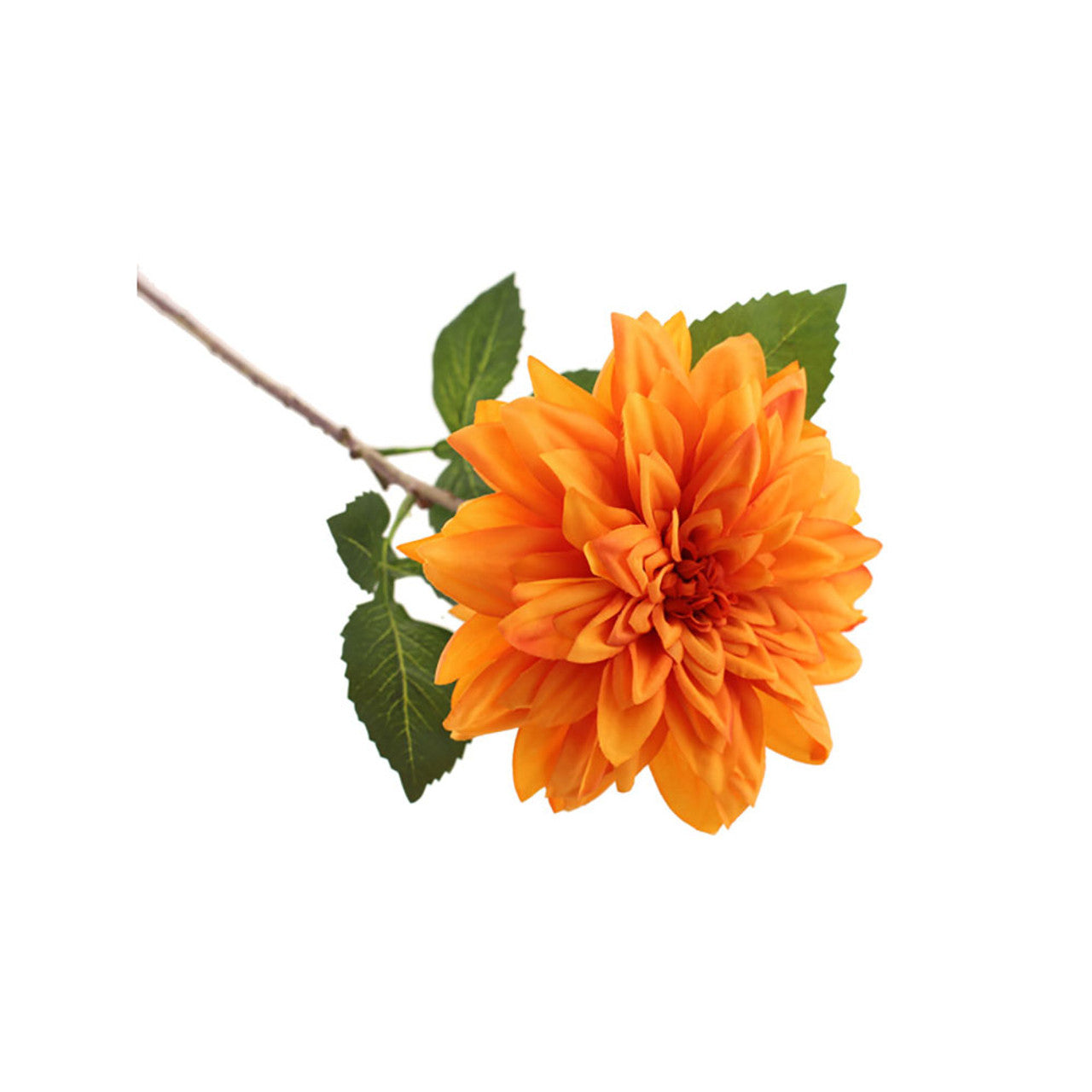 Orange flower with green leaves on a white background