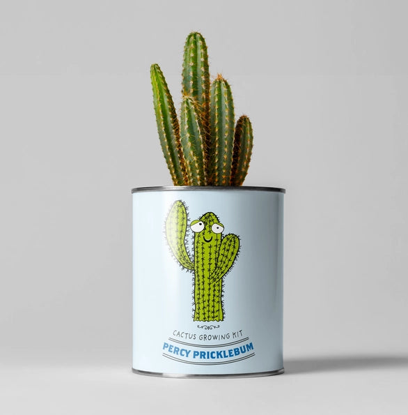 Percy Pricklebum Plant Kit