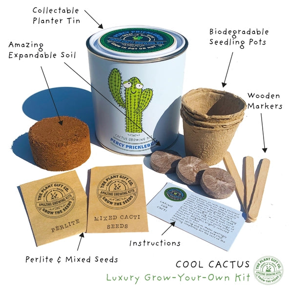 Percy Pricklebum Plant Kit
