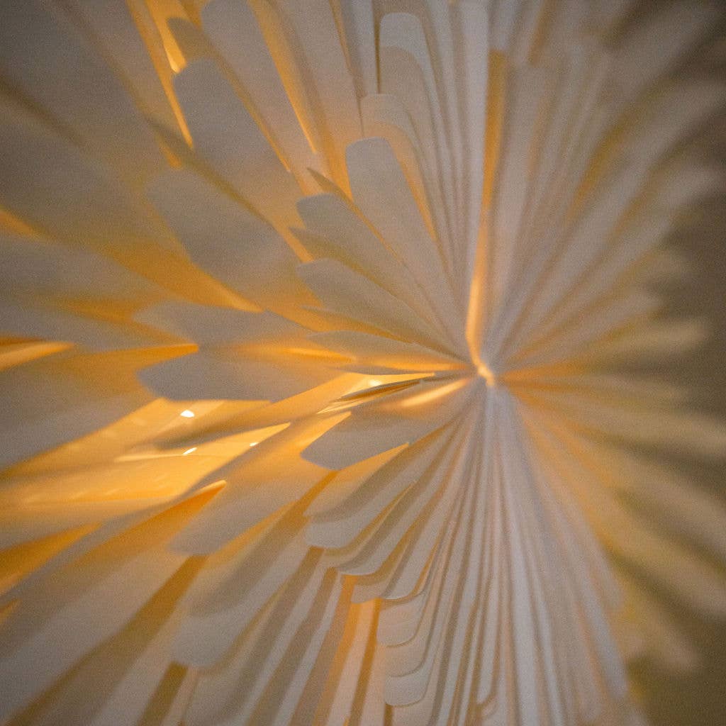 Close up view of paper decoration with lights inside