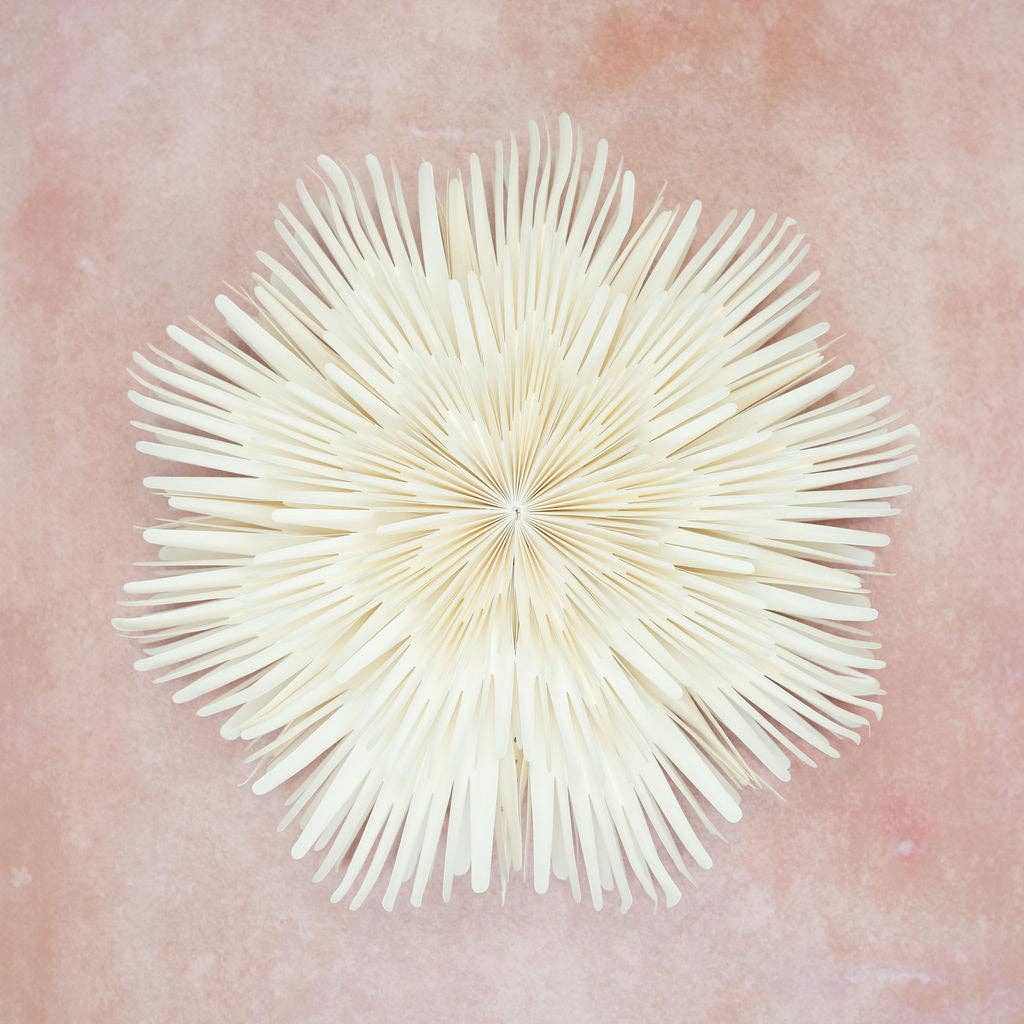 A white paper wall decoration with a sunburst design, displayed on a pink background.