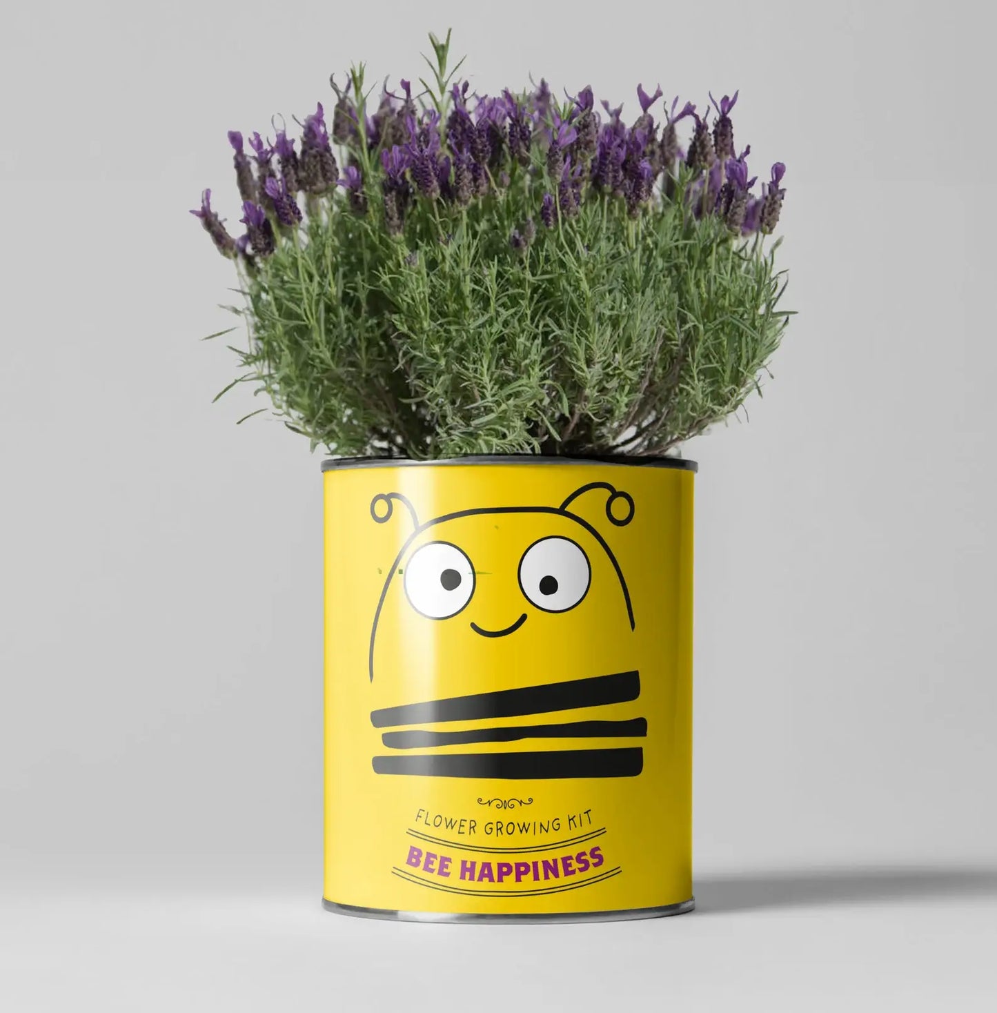 Big Bee Happiness