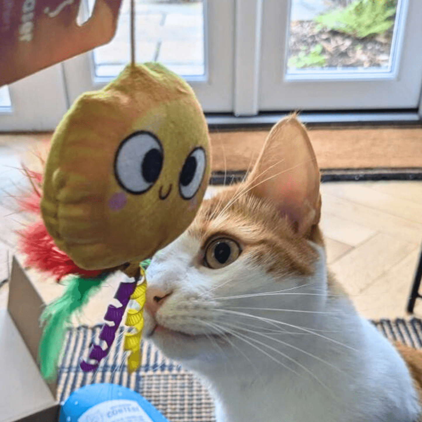 Feathery Plush Sun Cat Teaser