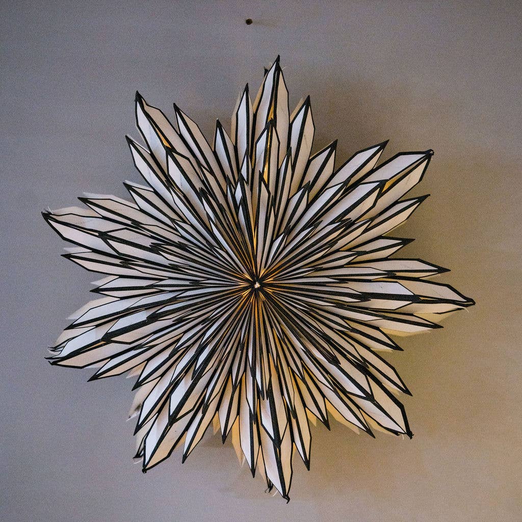 Gazania Black & White Paper Wall Decoration - 70cm