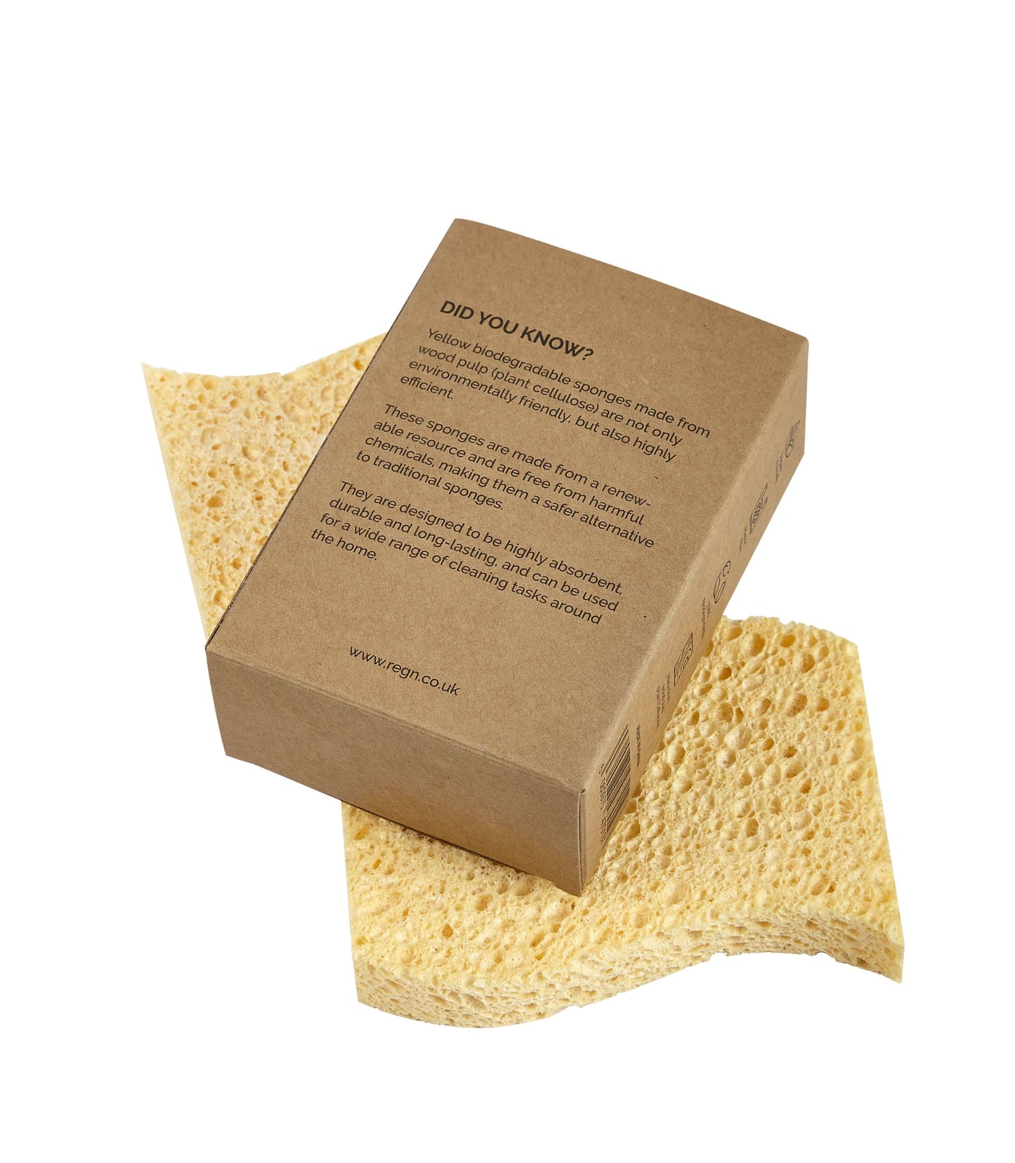 Biodegradable Kitchen Sponges - (Pack of 2)