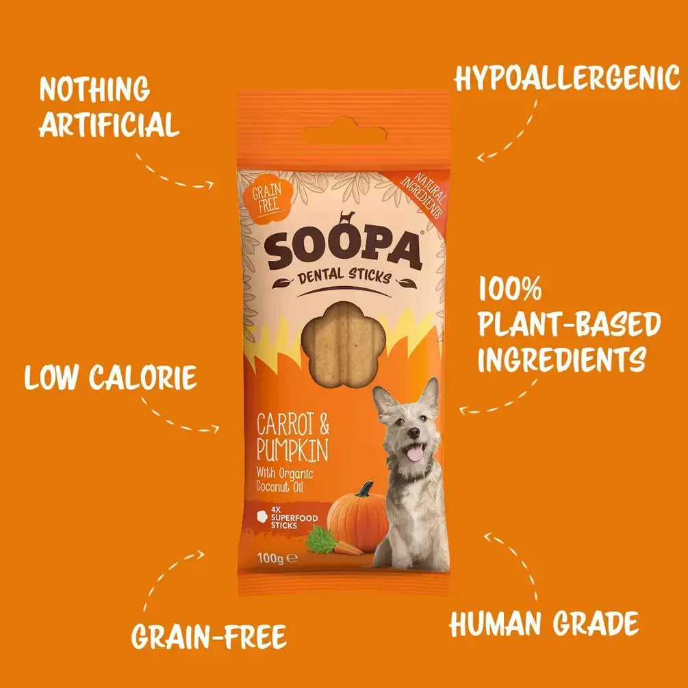Carrot & Pumpkin Dog Dental Sticks
