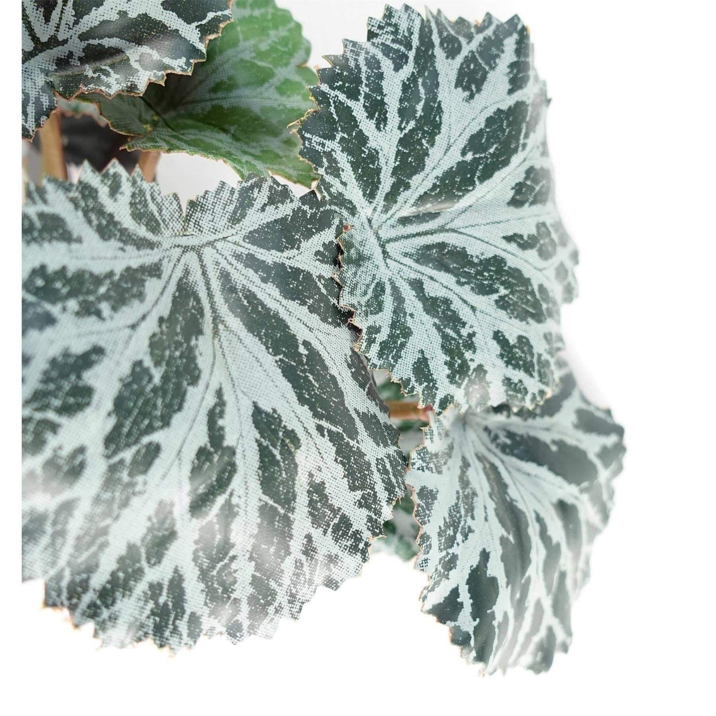Artificial Trailing Begonia Plant 50 cm