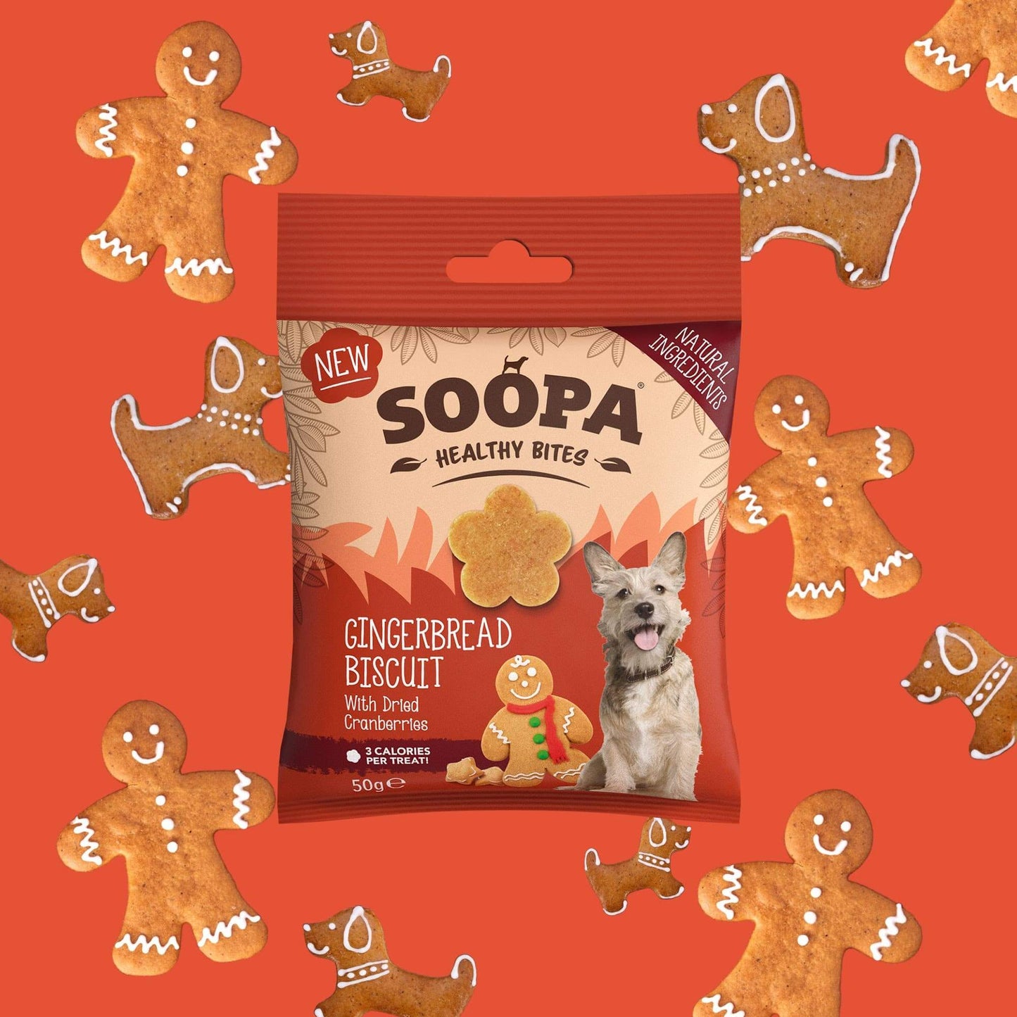 Gingerbread Biscuit Dog Treats