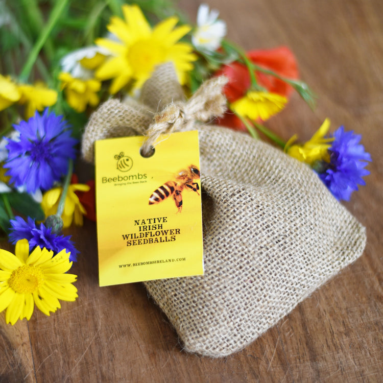 Bee Bombs Ireland
