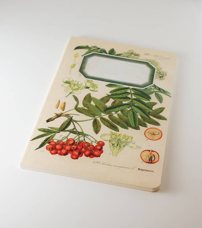 Botanical Notebook - Rowan Tree