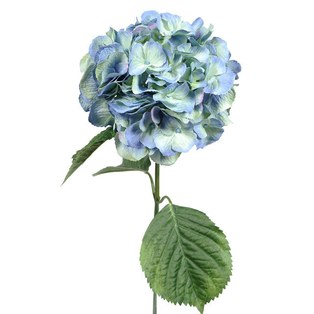 Hydrangea - Light Blue