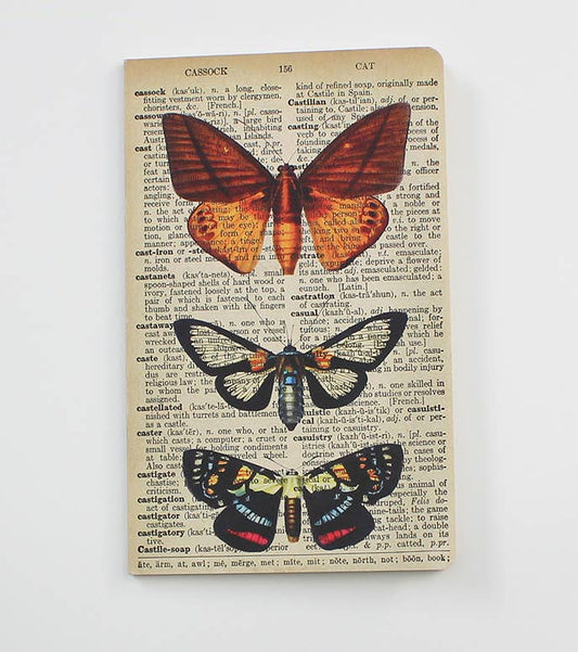Butterflies Notebook