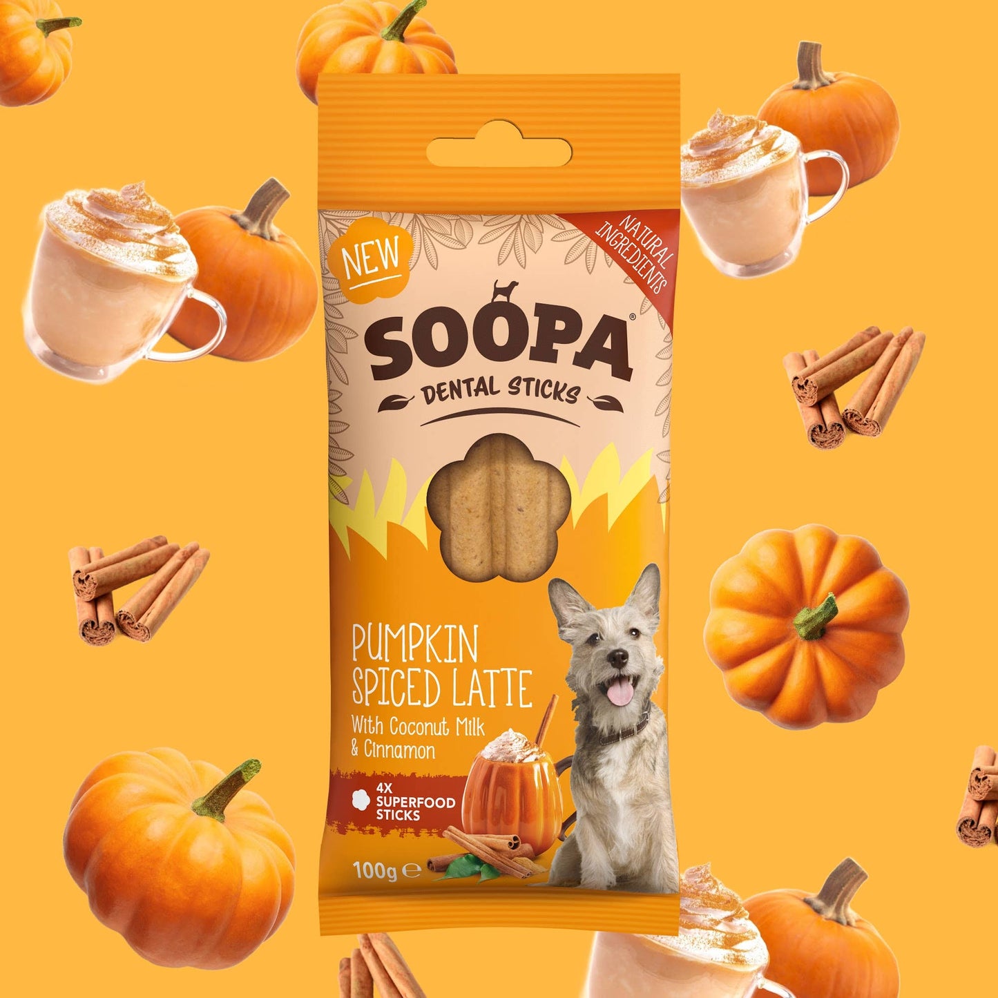 Pumpkin Spiced Latte Dog Dental Sticks