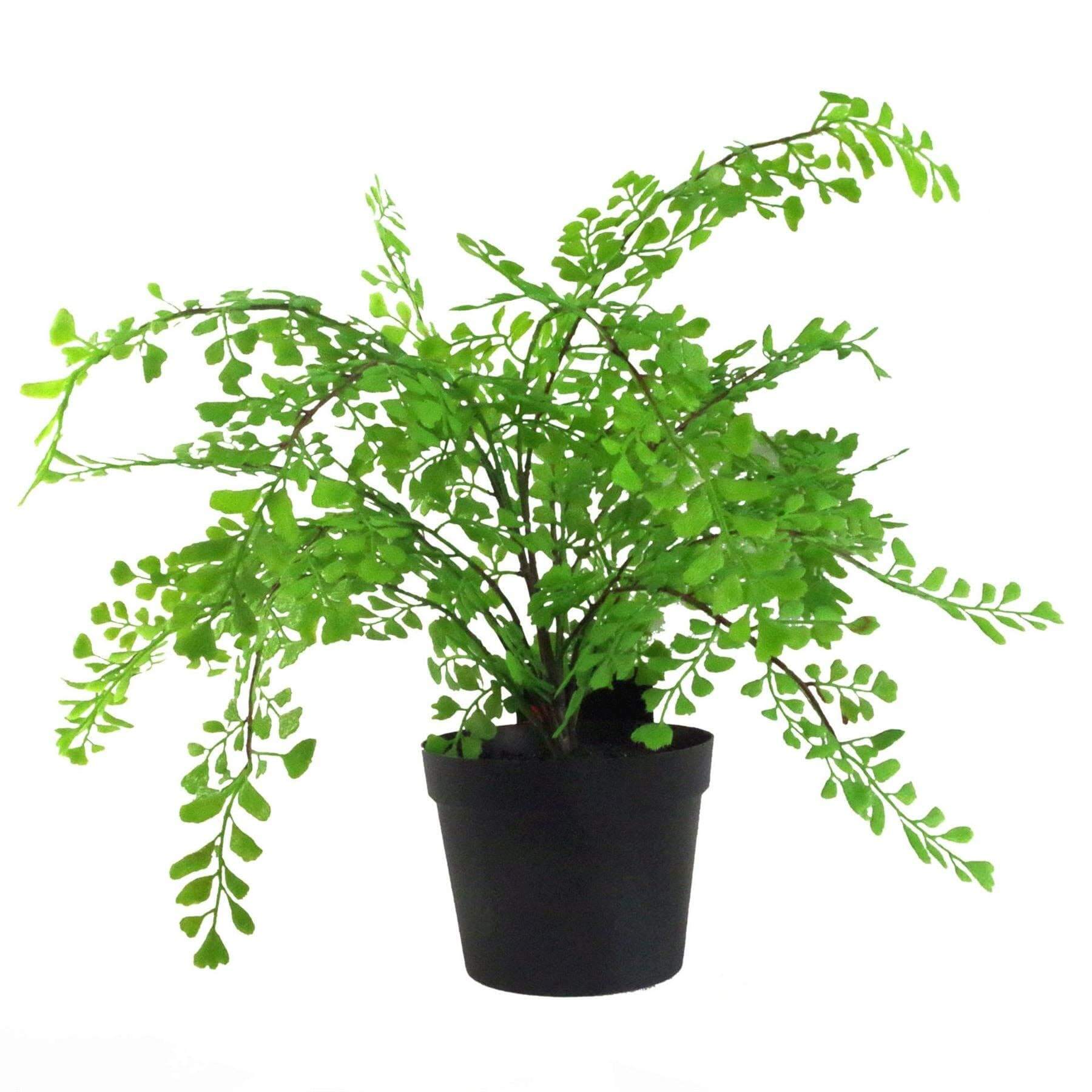An artificial Maiden Fern plant in a black pot suitable for home or office decoration.