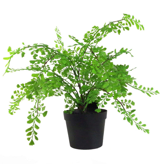 An artificial Maiden Fern plant in a black pot suitable for home or office decoration.
