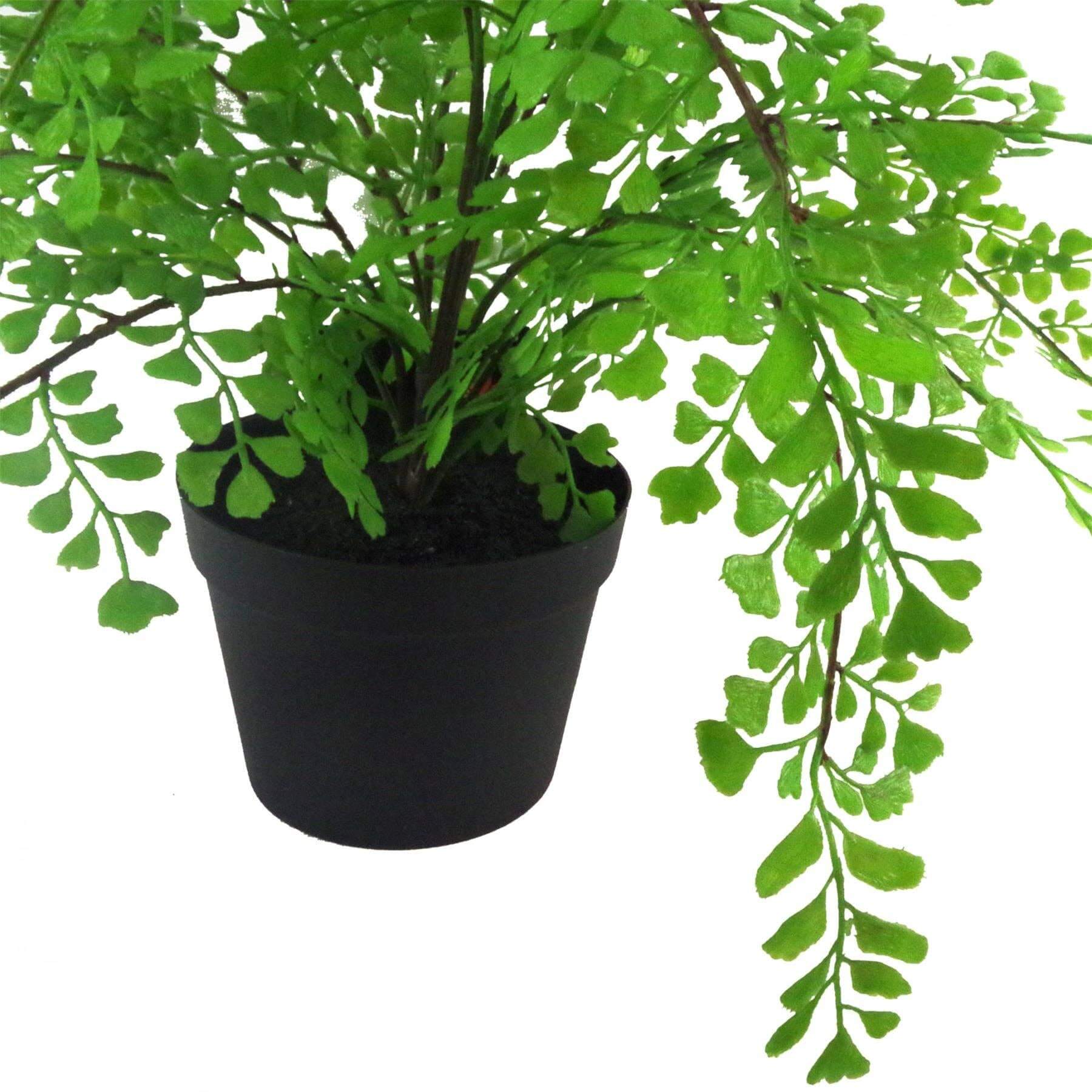 An artificial Maiden Fern plant in a black pot suitable for home or office decoration.