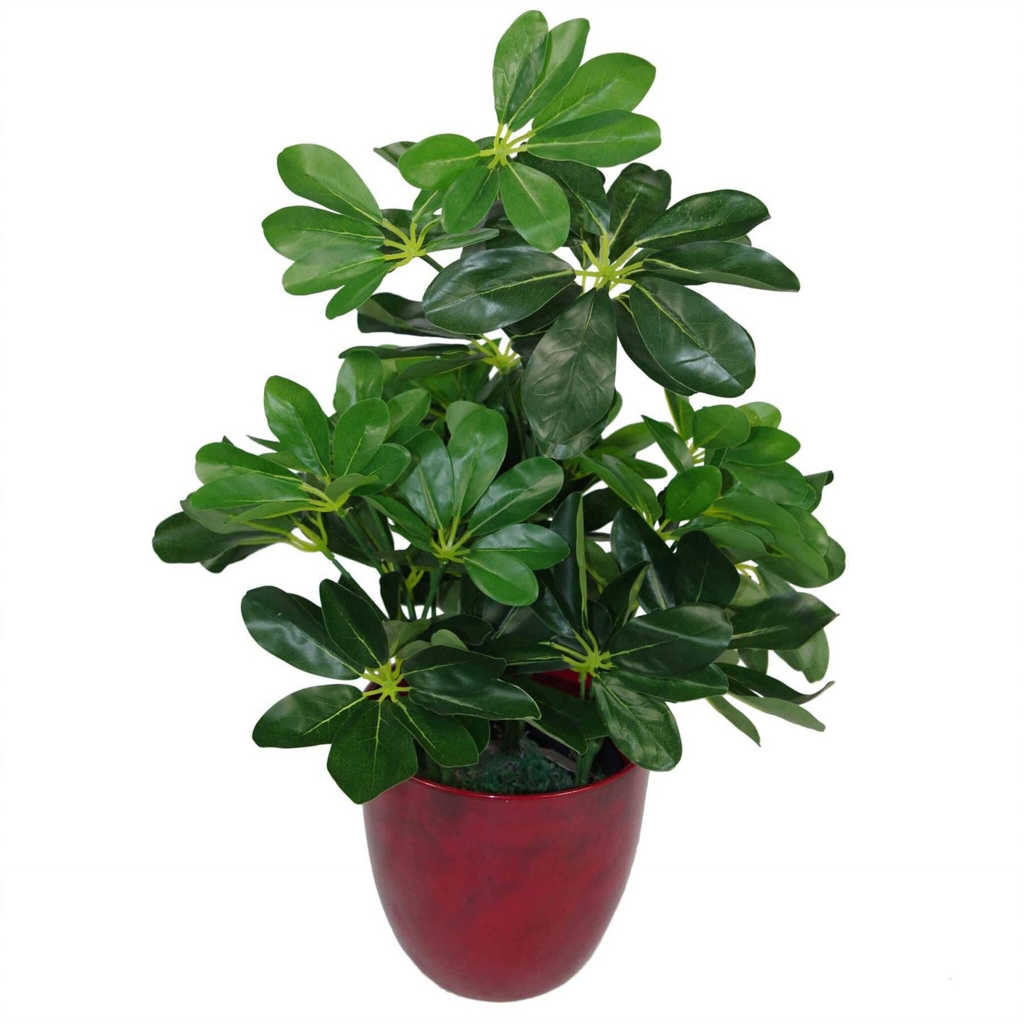 Artificial Dwarf Umbrella Tree in Pot
