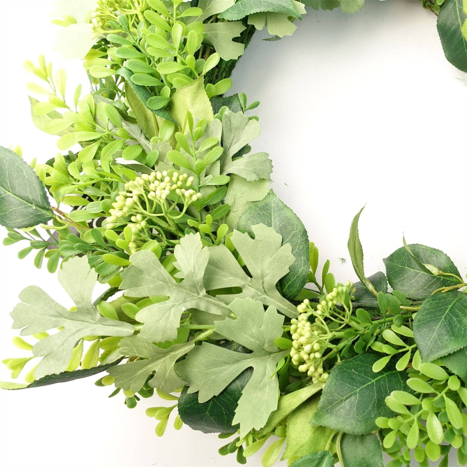 Green leafy wreath on a white background