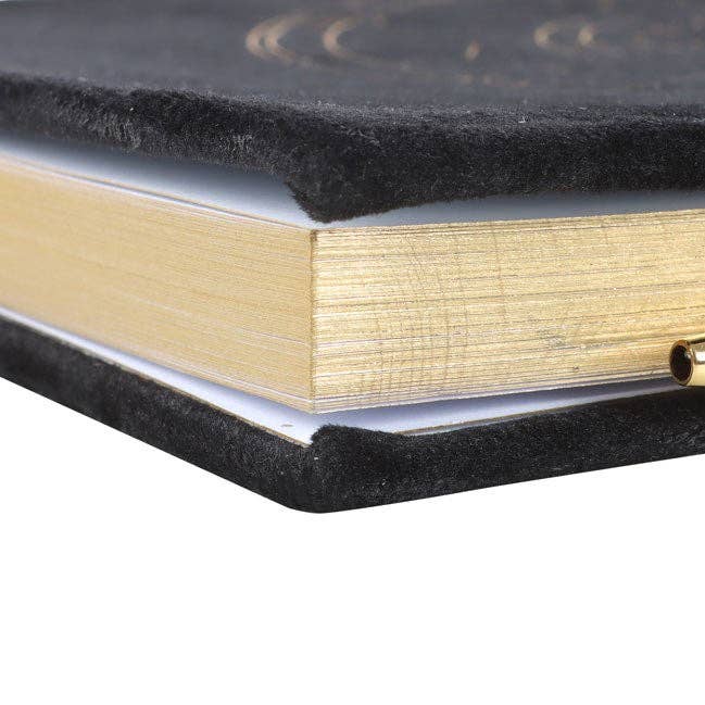 Close-up of a black and gold book with a white background