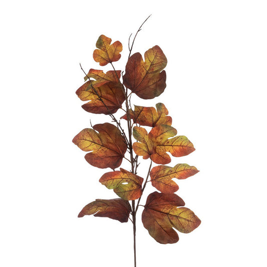 Autumn Fig Leaf Spray