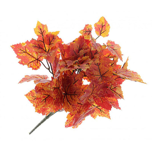 Autumn Grape Ivy Bush