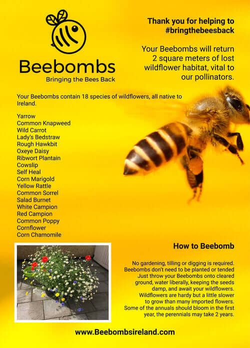 Bee Bomb Information Sheet