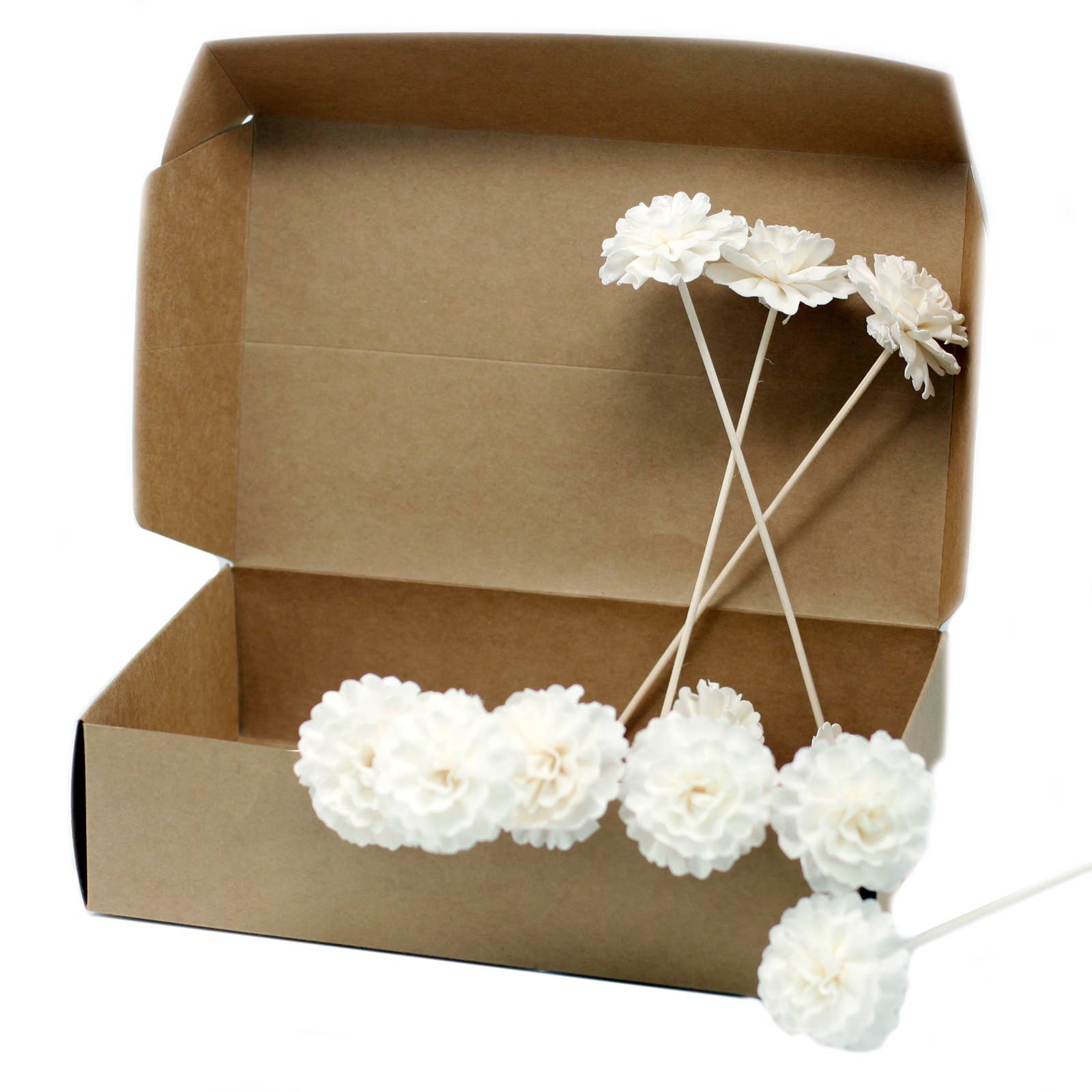 White floral sticks inside an open brown cardboard box on a white background
