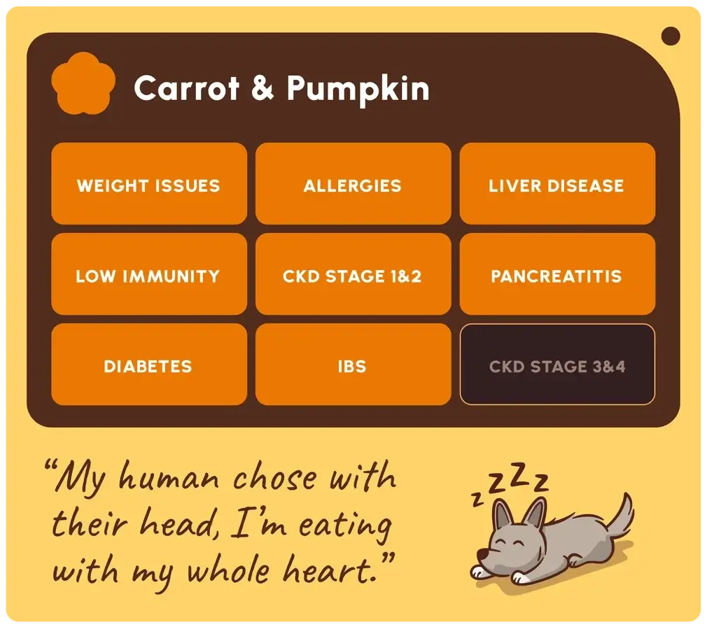 A digital graphic card for pet health with 'Carrot & Pumpkin'. The card features a dark brown header with orange buttons listing various pet diseases and conditions, set against a pale yellow background.