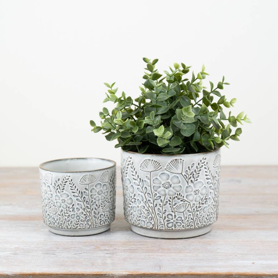 Two decorative ceramic planters with a green plant on a light wooden surface.