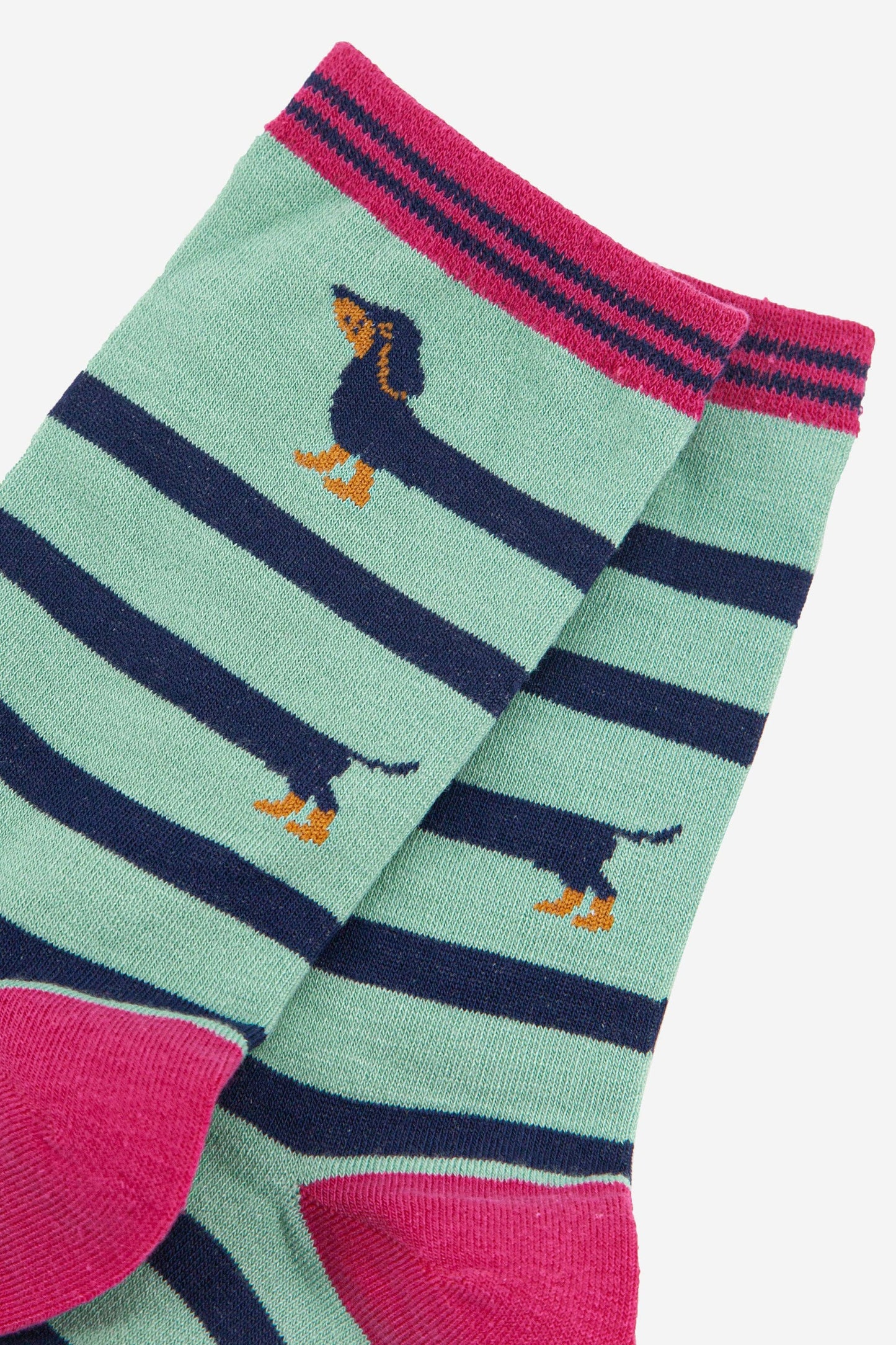 Green and navy striped socks with pink accents and dog illustrations on a white background
