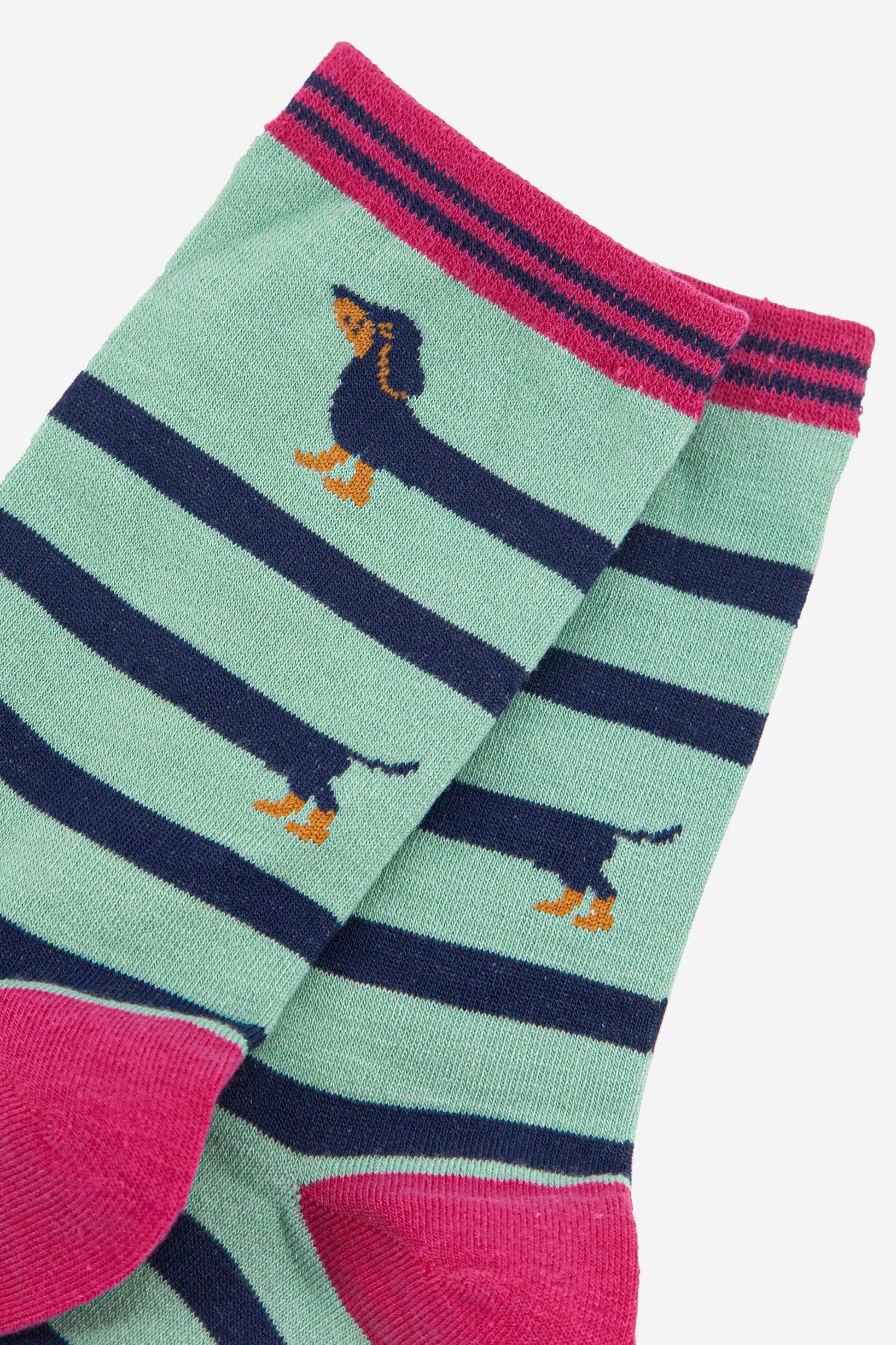 Green and navy striped socks with pink accents and dog illustrations on a white background