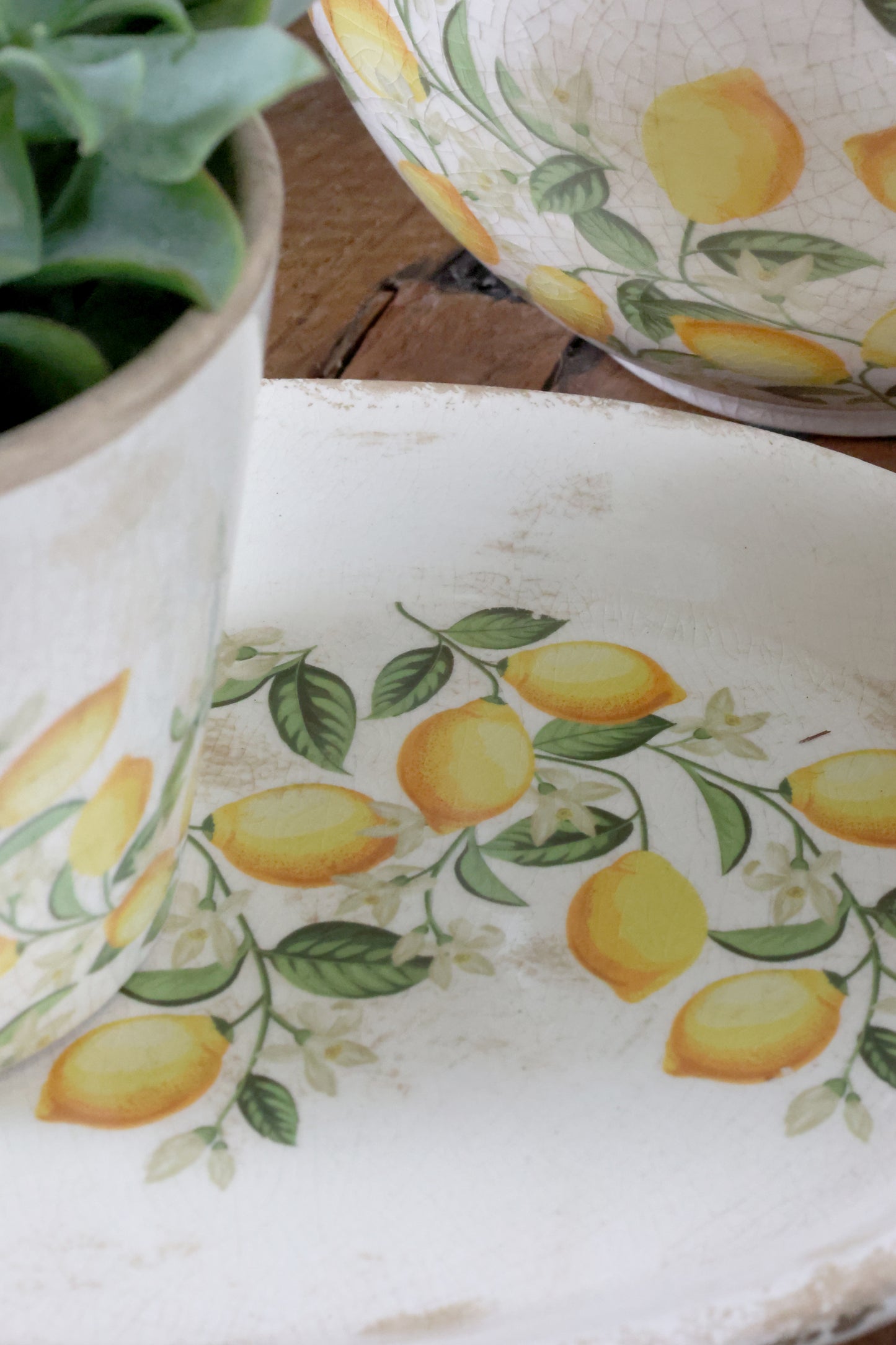 Decorative plate with lemon design on a wooden surface