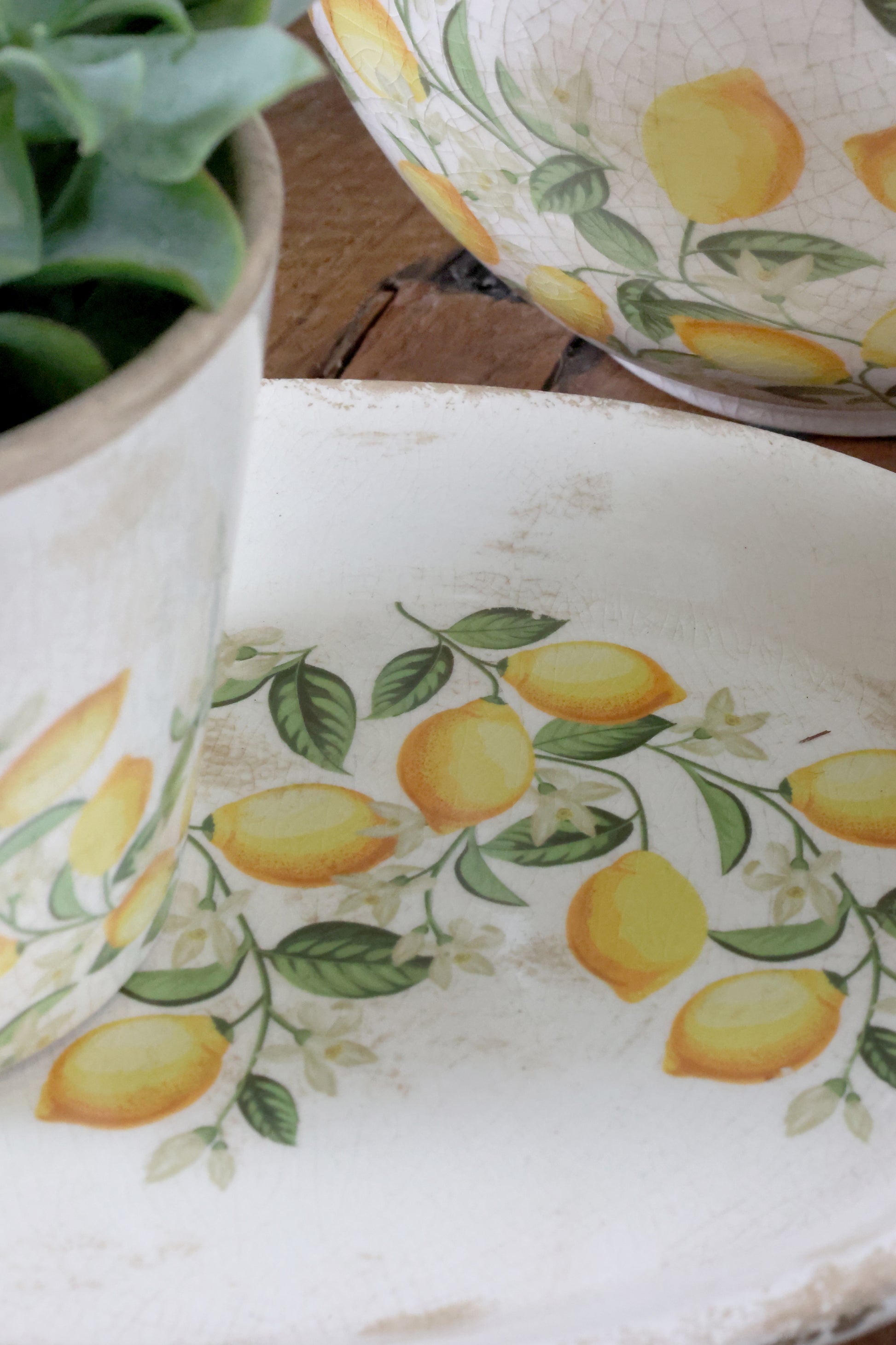 Decorative plate with lemon design on a wooden surface