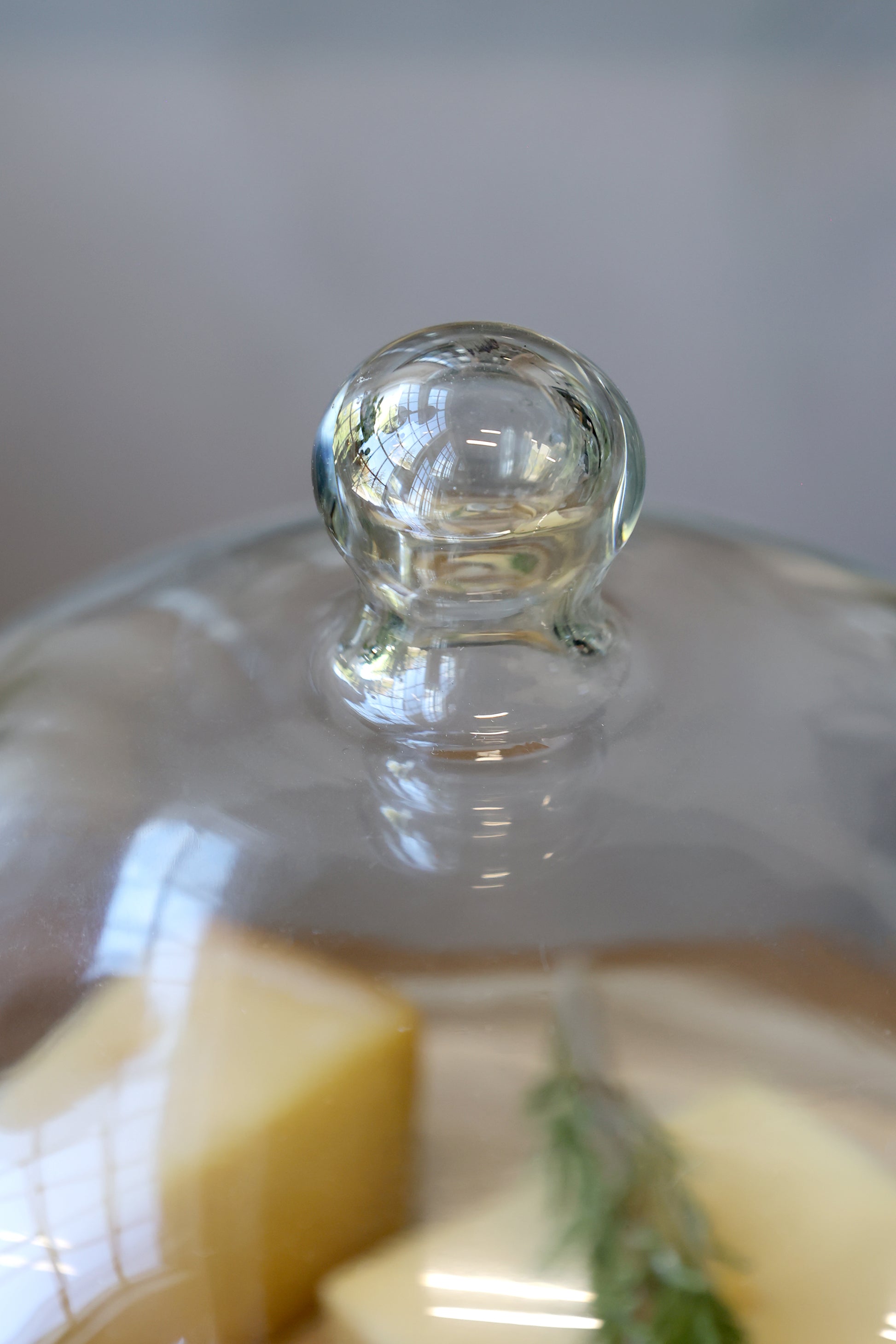Glass dome lid on a dish with cheese and herbs