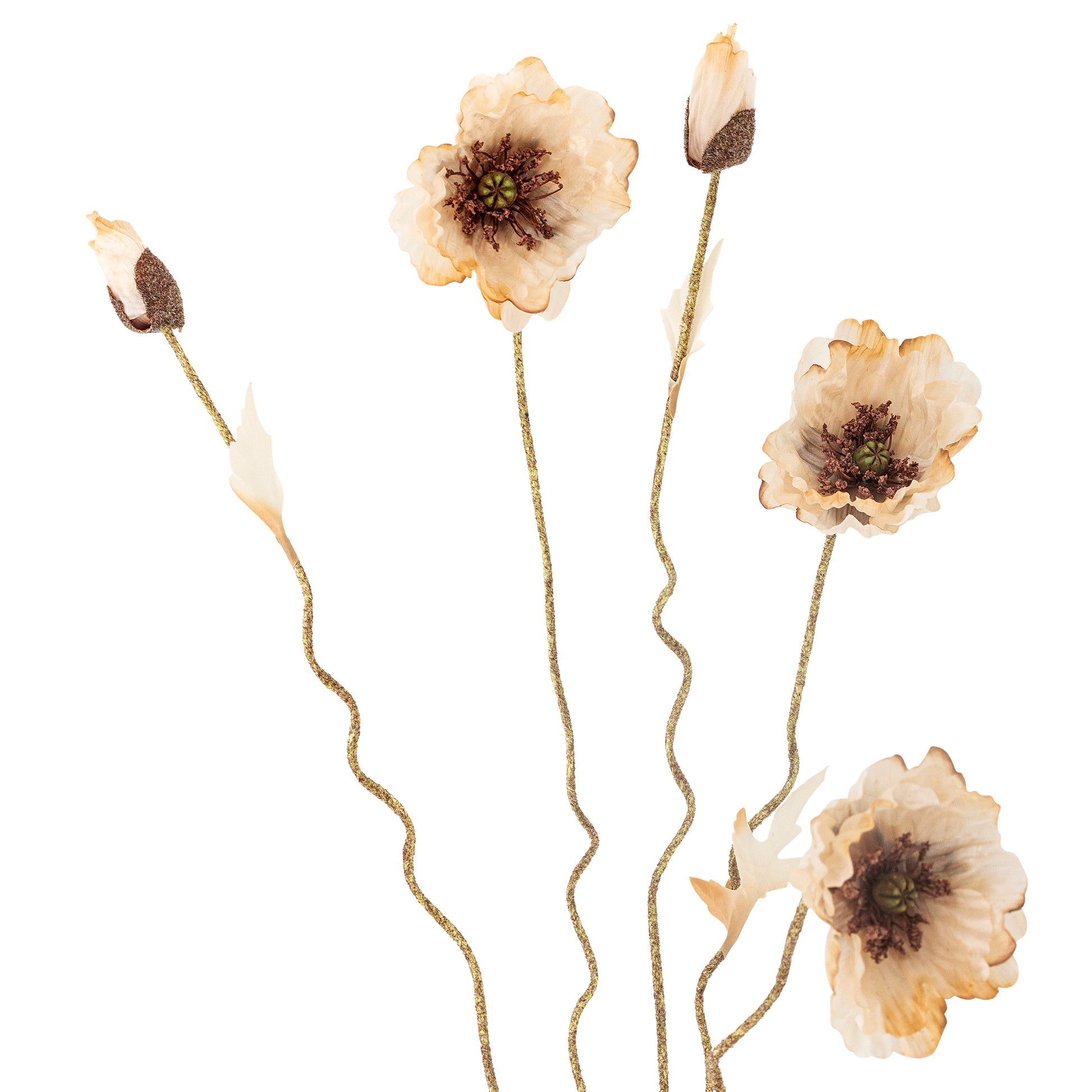 Decorative floral arrangement with beige flowers on a white background