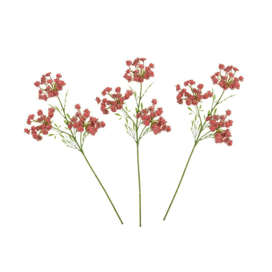 Cow parsley flower stems with small pinkish-red blossoms and green stems, arranged side by side on a plain white background