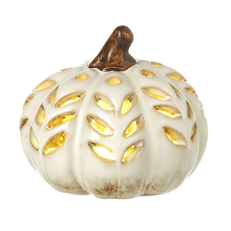 Decorative pumpkin with a brown stem on a white background